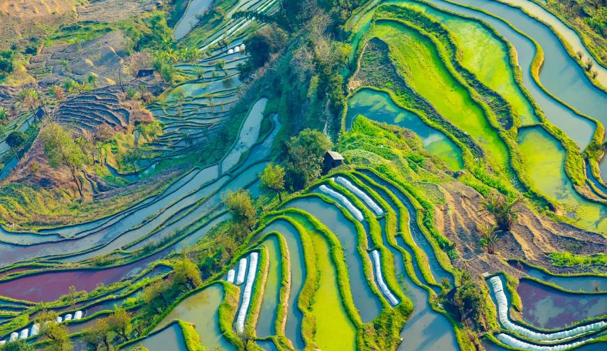 宝妈必备神器：黄石港区产品视频拍摄轻松育儿好帮手